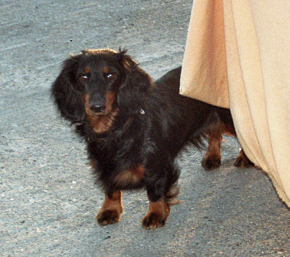 Sie in NG 200802